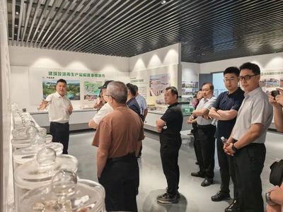 攜手并進(jìn)，共繪綠色未來——記麗水市生態(tài)文明促進(jìn)會專家團(tuán)蒞臨天造環(huán)保調(diào)研指導(dǎo)